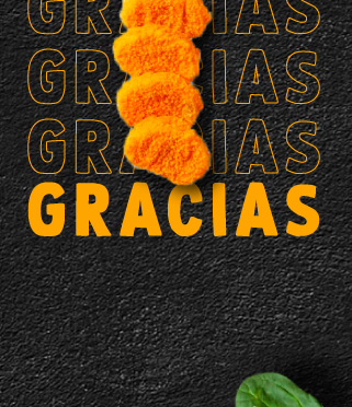 Banner gracias registro