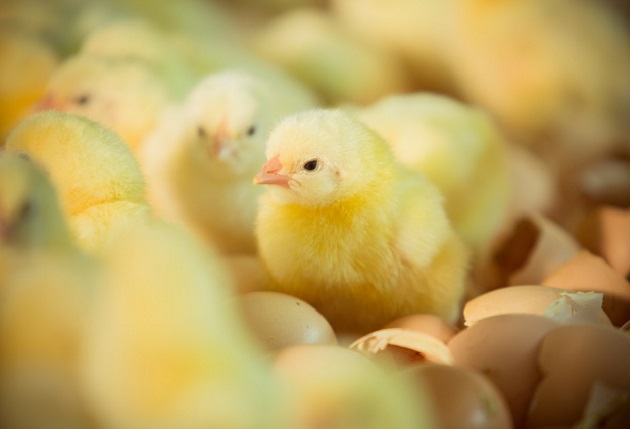 Nuestra filosofia Friko