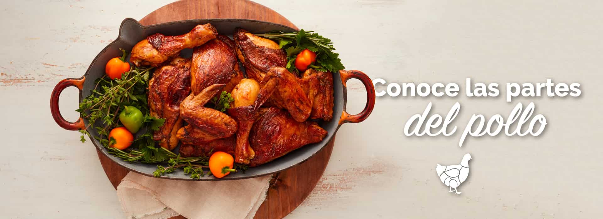 Conoce las partes del pollo