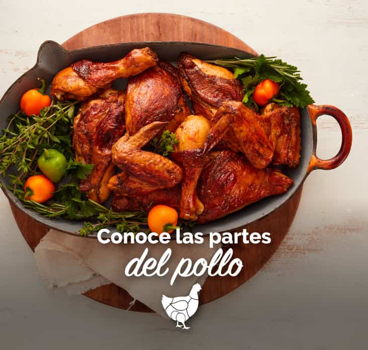 Conoce las partes del pollo