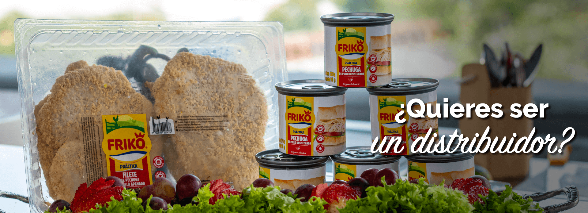  distribuidores Friko