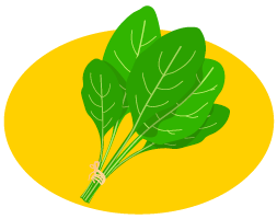 icono-espinaca