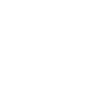 Arroz con pollo Asado