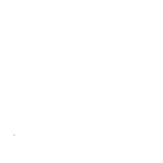 Arroz con pollo Asado