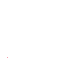 Filete de pollo en finas hierbas Friko